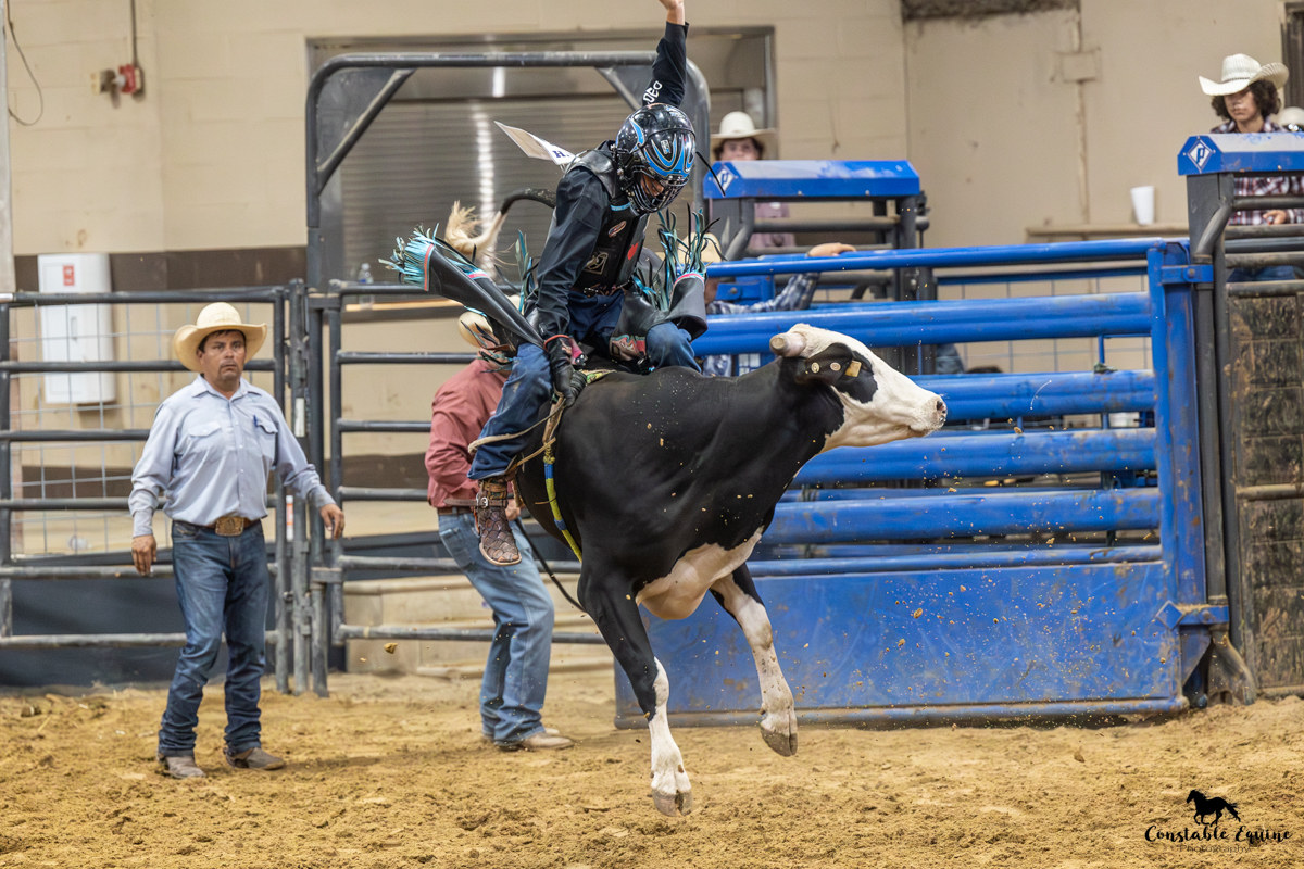 Reined Cow Horse